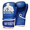 Guantes de Boxeo Élite - Thumbnail Image 1
