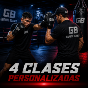 Ticketera de 4 clases